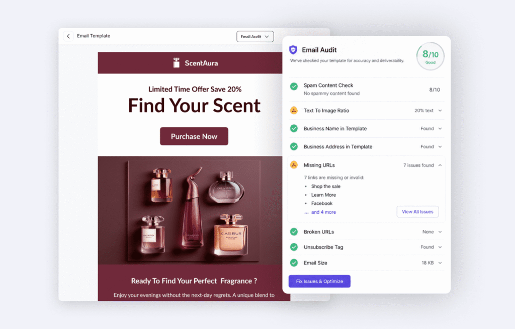 Adflipr Email Campaign Audit Feature